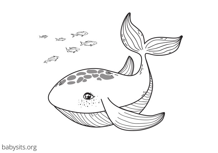 Coloring pages sea animals printable