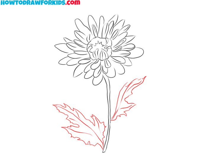 Easy red mums drawing