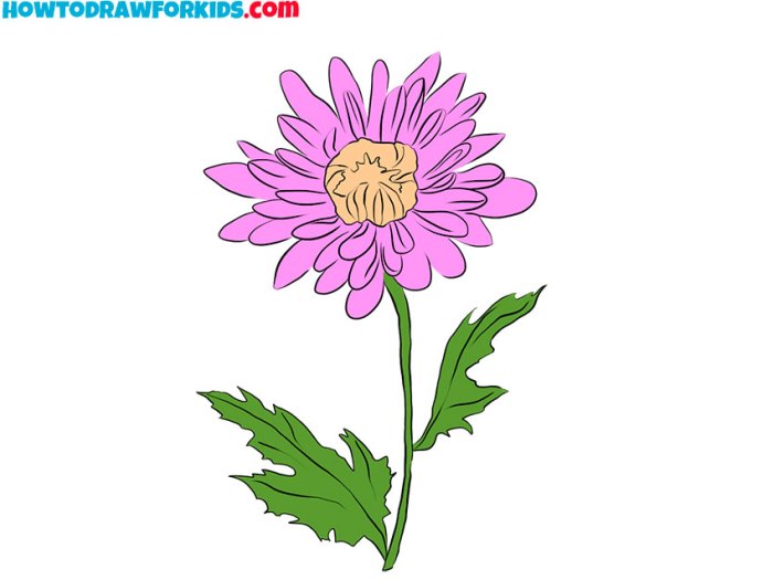 Easy red mums drawing