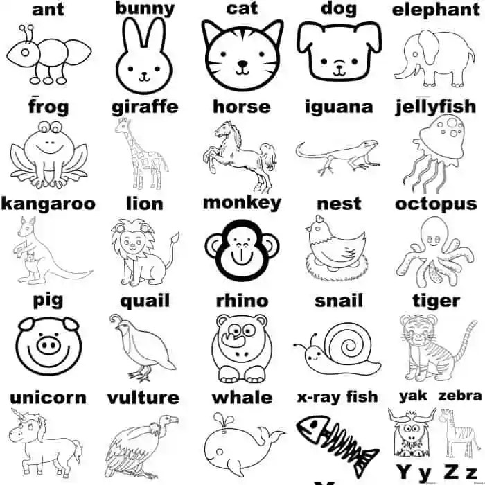 Animal coloring alphabet resolution high