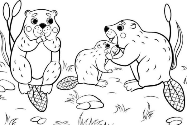 Animal coloring pages free printables