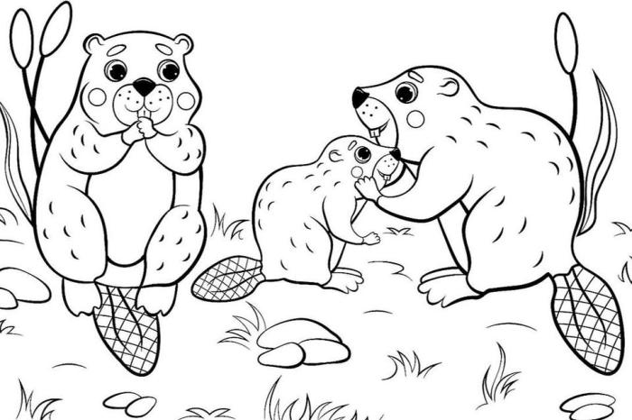 Animal coloring pages free printables