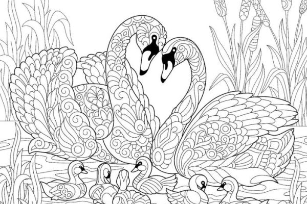 Coloring pictures of animal families