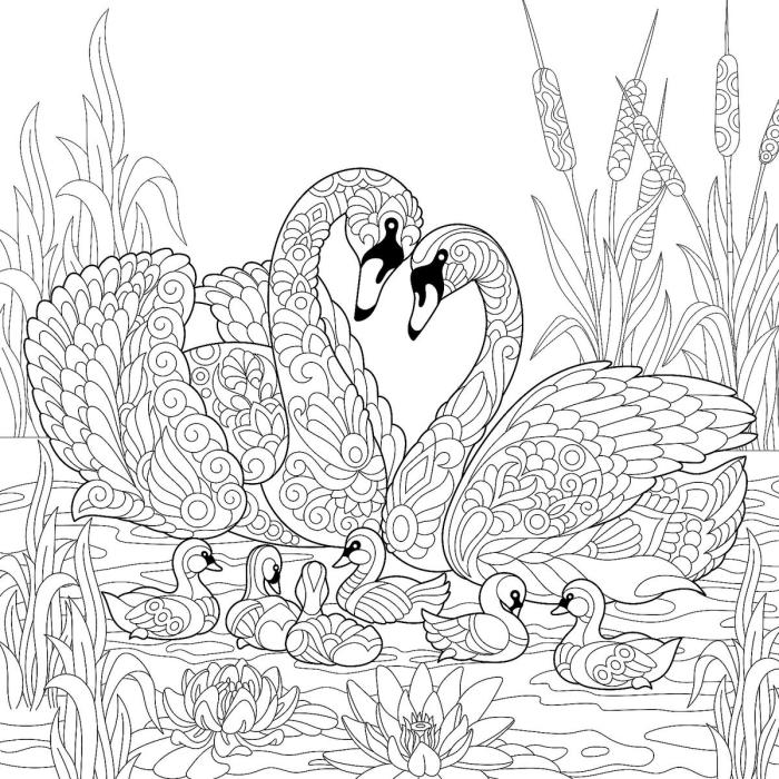 Coloring pictures of animal families