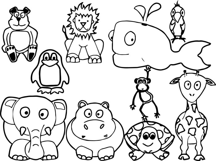 Day 6 animals coloring sheet