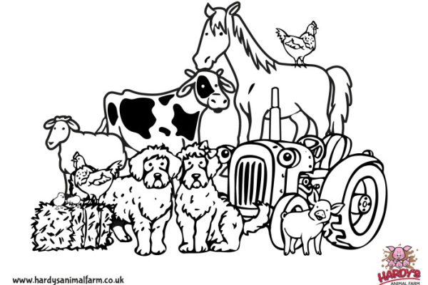 Printable realistic farm animal coloring pages