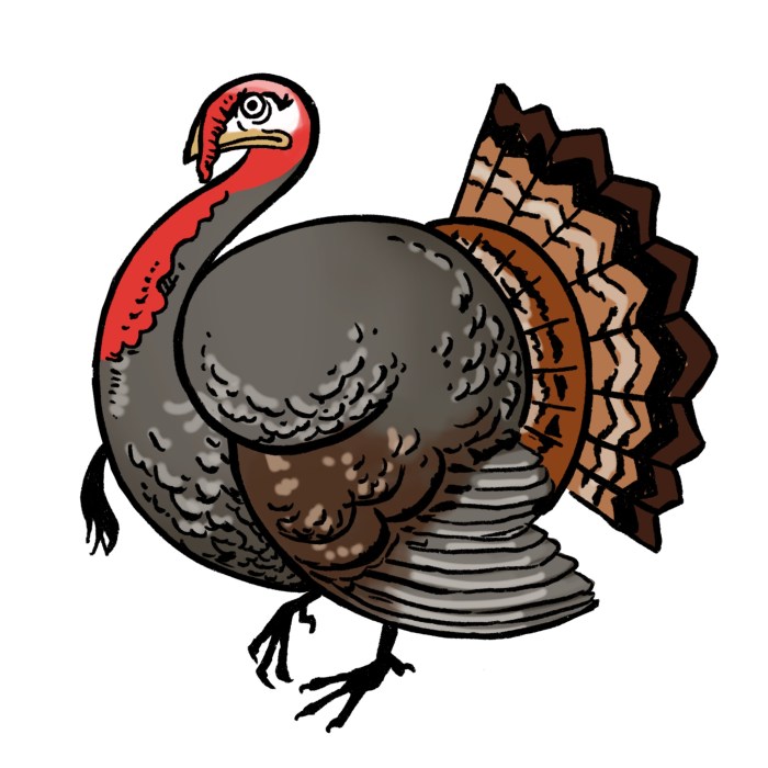 Easy turkey country drawing