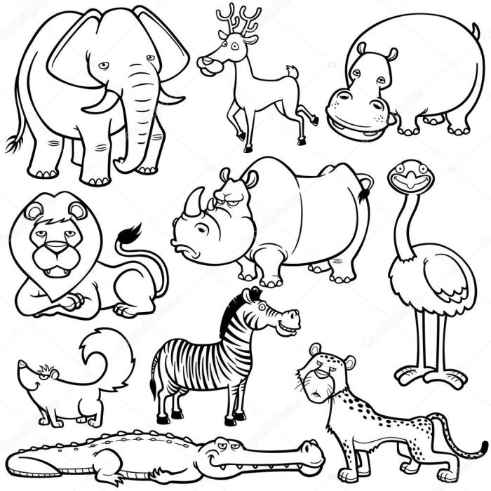 Coloring pages pdf animals