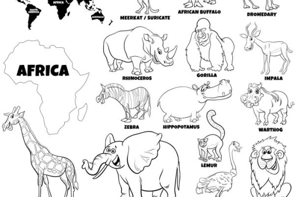 African animal coloring pages for preschool