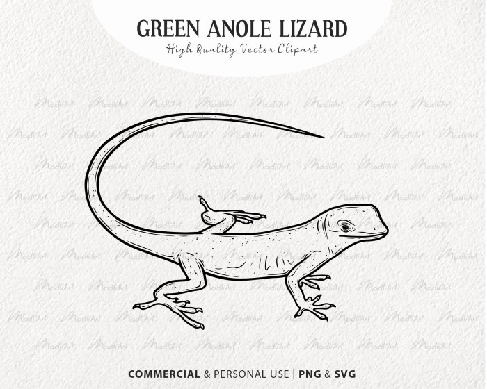 Green anole easy drawing