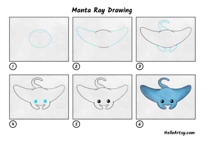 Easy line drawing drawing of a ray