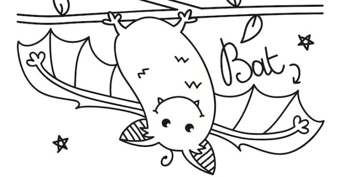 Nocturnal animals coloring pages