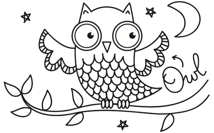 Nocturnal animals coloring pages