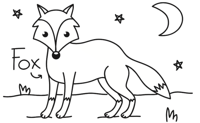 Nocturnal animals coloring pages