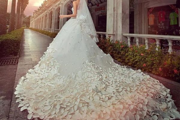 Biggest princess wedding dress