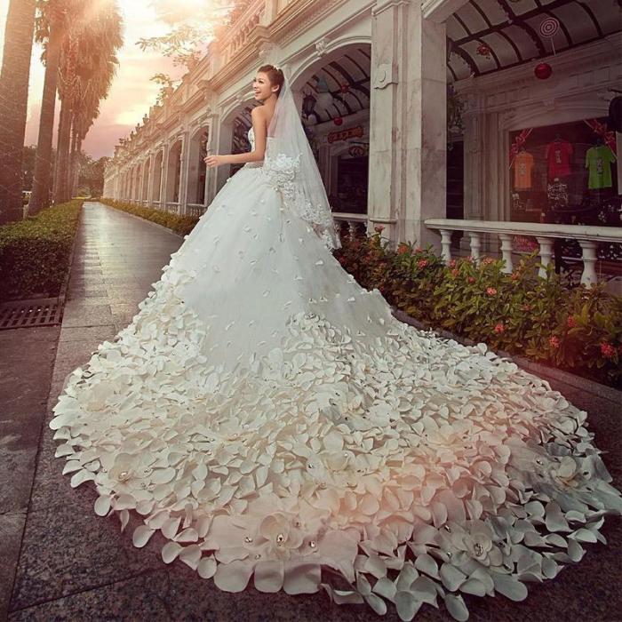 Biggest princess wedding dress